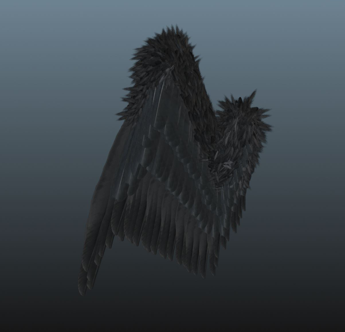 Wing Generator